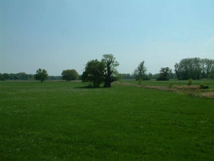DSCF0052.jpg