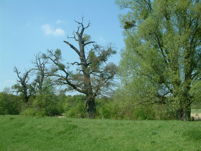 DSCF0055.jpg