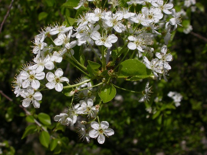 dscn9491.jpg