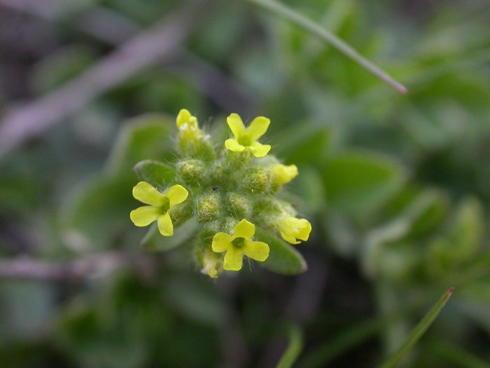 dscn9507.jpg