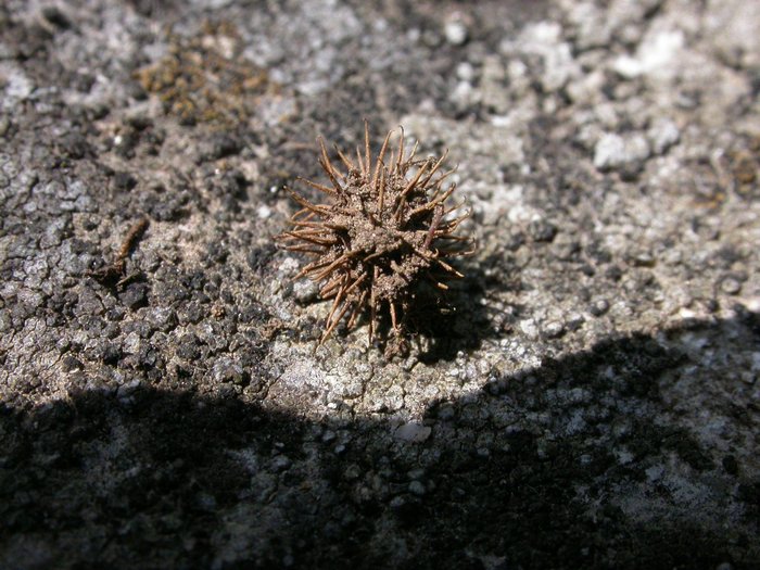 dscn9536.jpg
