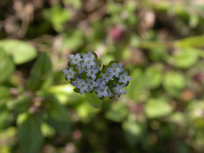 dscn9549.jpg