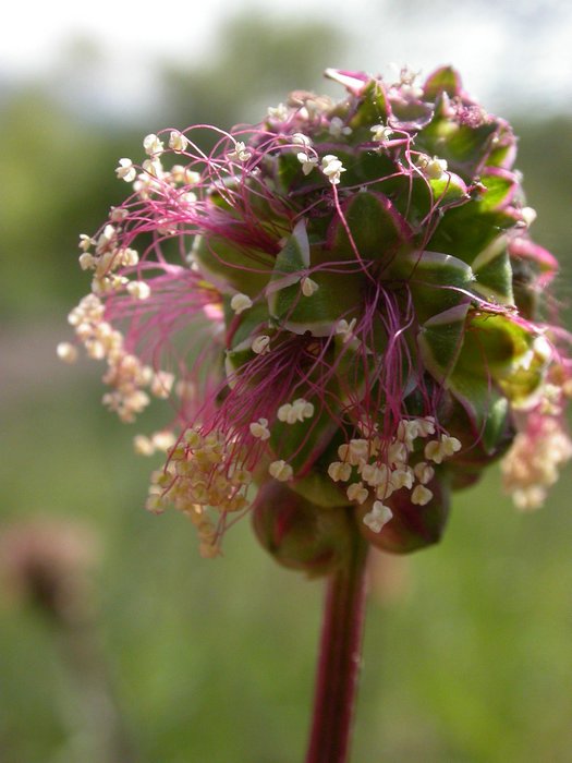 dscn9555.jpg