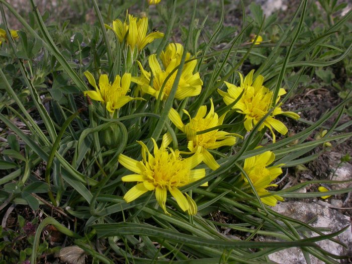 dscn9565.jpg