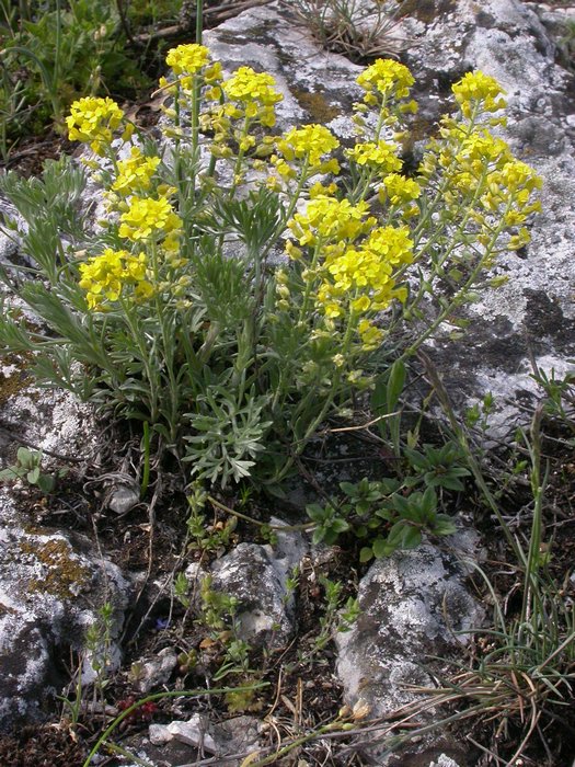dscn9569.jpg