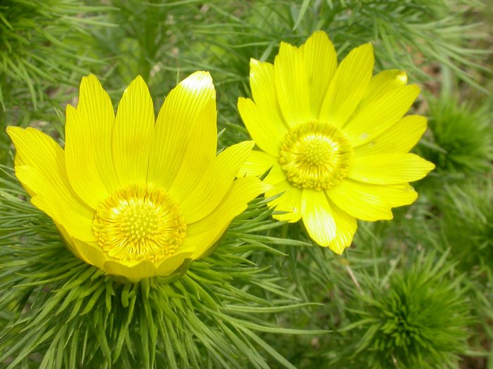 dscn9599.jpg