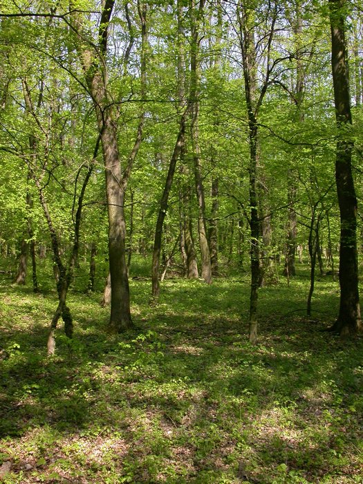 dscn9625.jpg