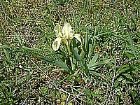 DSCF0008.jpg