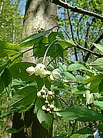 DSCF0018.jpg