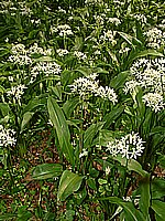 DSCF0068.jpg