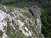 IMG_1900.jpg