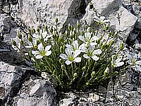 IMG_1906.jpg