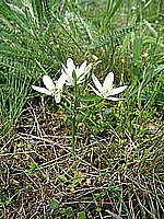 IMG_1911.jpg