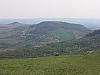 IMG_1919.jpg