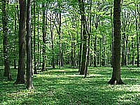 IMG_1934.jpg