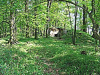 IMG_1945.jpg