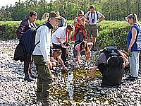IMG_1947.jpg