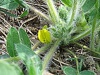 IMG_1988.jpg