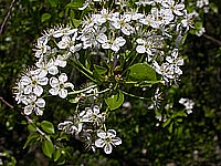 dscn9491.jpg