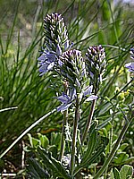 dscn9498.jpg