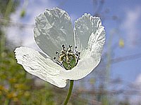 dscn9540.jpg