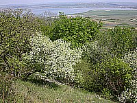 dscn9561.jpg