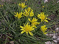 dscn9565.jpg