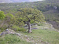 dscn9567.jpg