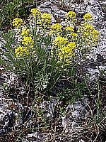 dscn9569.jpg