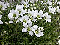dscn9583.jpg