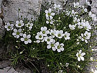 dscn9585.jpg
