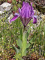 dscn9596.jpg