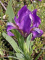dscn9597.jpg