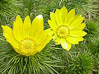 dscn9599.jpg