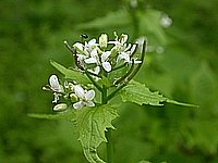 dscn9615.jpg