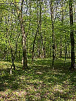 dscn9625.jpg