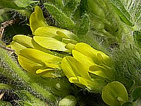 dscn9654.jpg