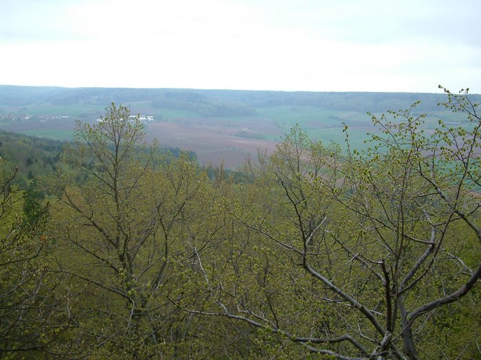 DSCF0025.JPG